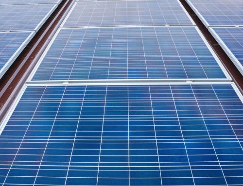 X – Watt Polikristal Güneş Paneli Modelleri | Kuşadası Solar Enerji 2025